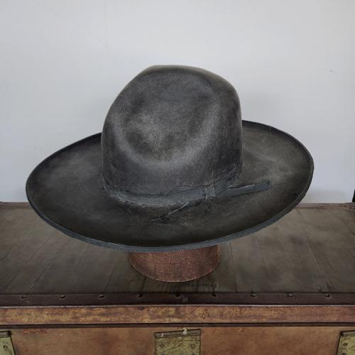 Charcoal 100X Beaver Dis