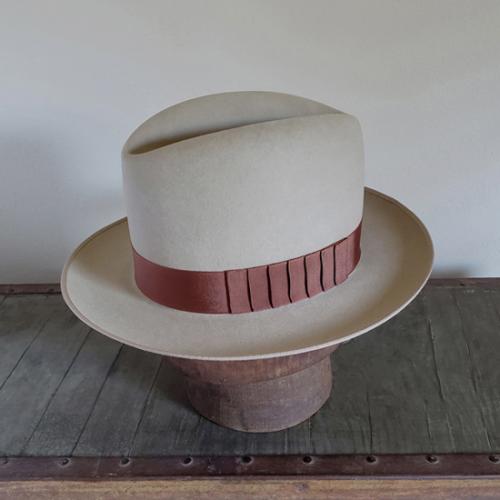 Sahara 100X Beaver 1