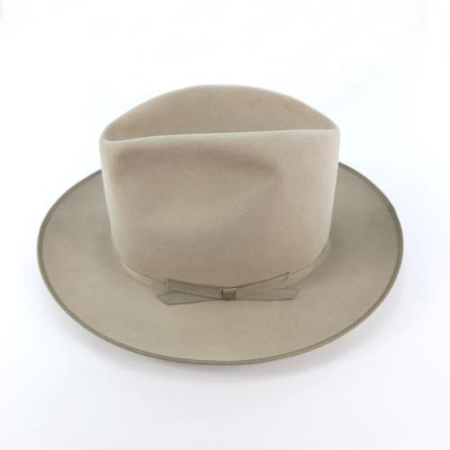 Sahara 100X Beaver 6