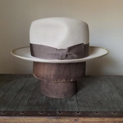 Sahara 100X Beaver 2